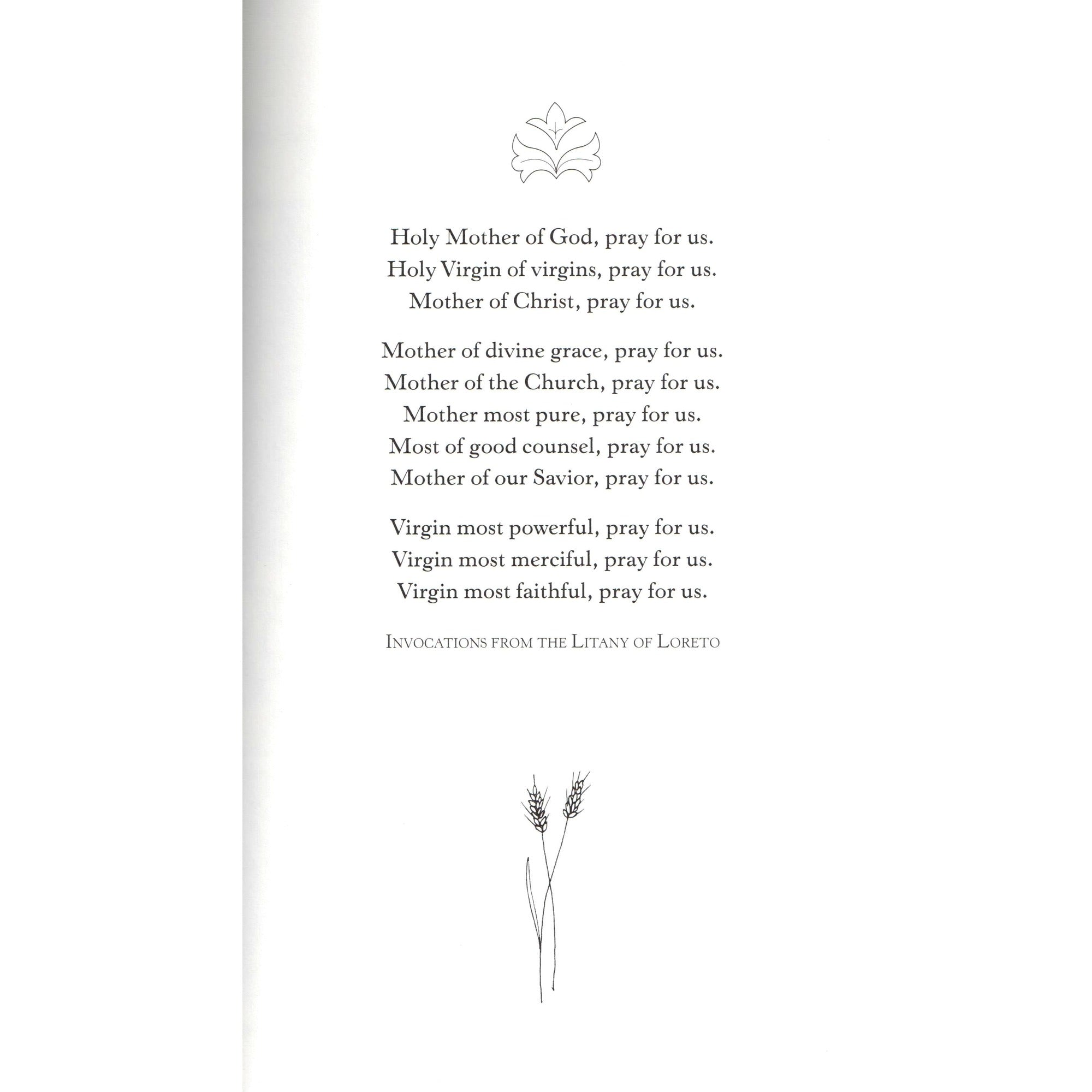 Windows Into Christ Coloring Book