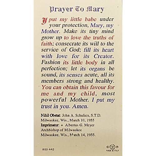 Prayer to Mary - Madonna of the Street - Prayer Card