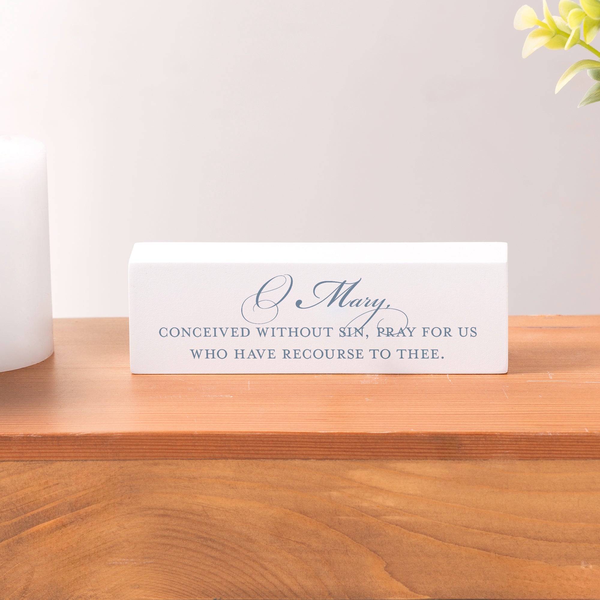 Miraculous Medal Prayer Block