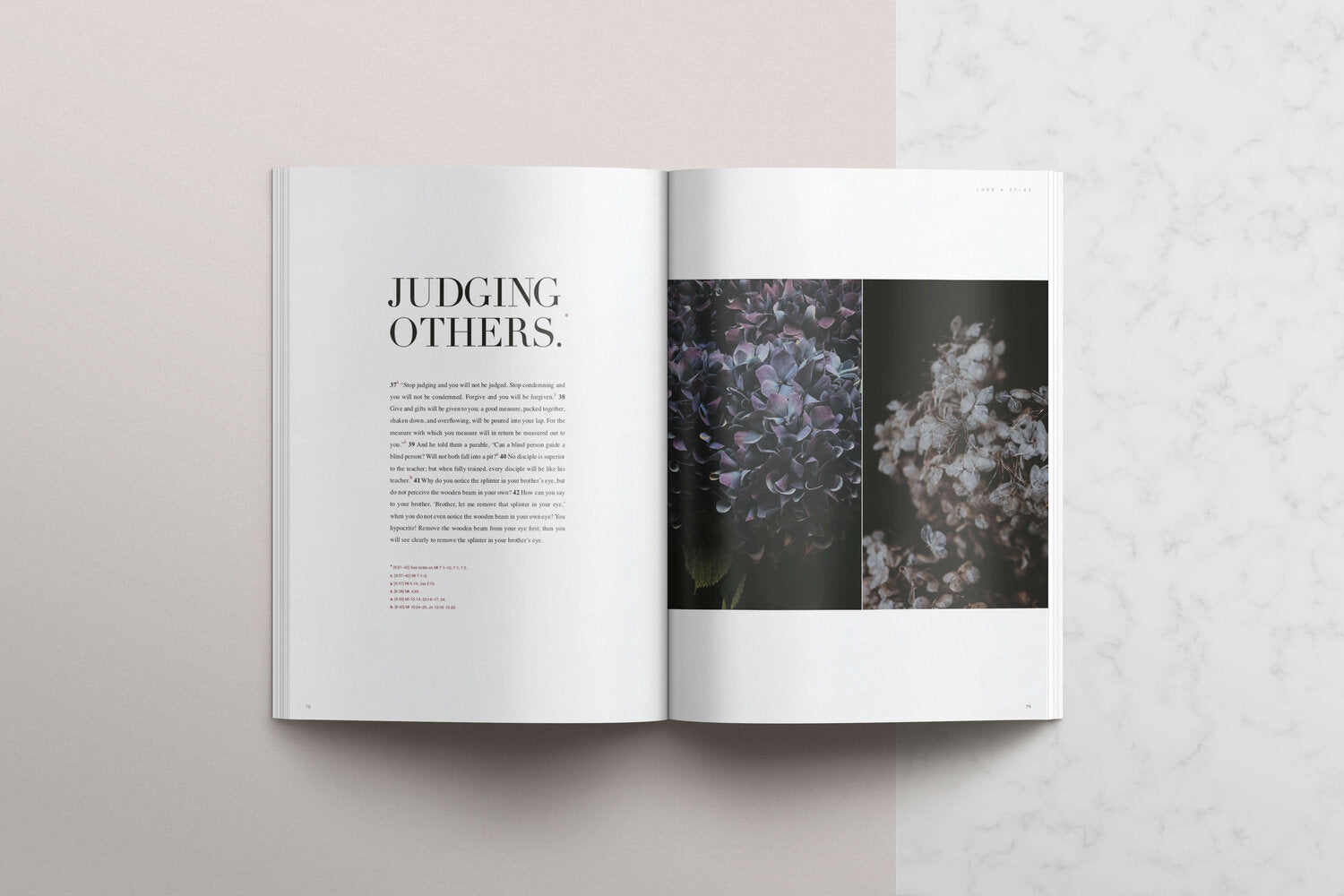 The Gospel of Luke (NABRE) - Contemplative Kindred Bible