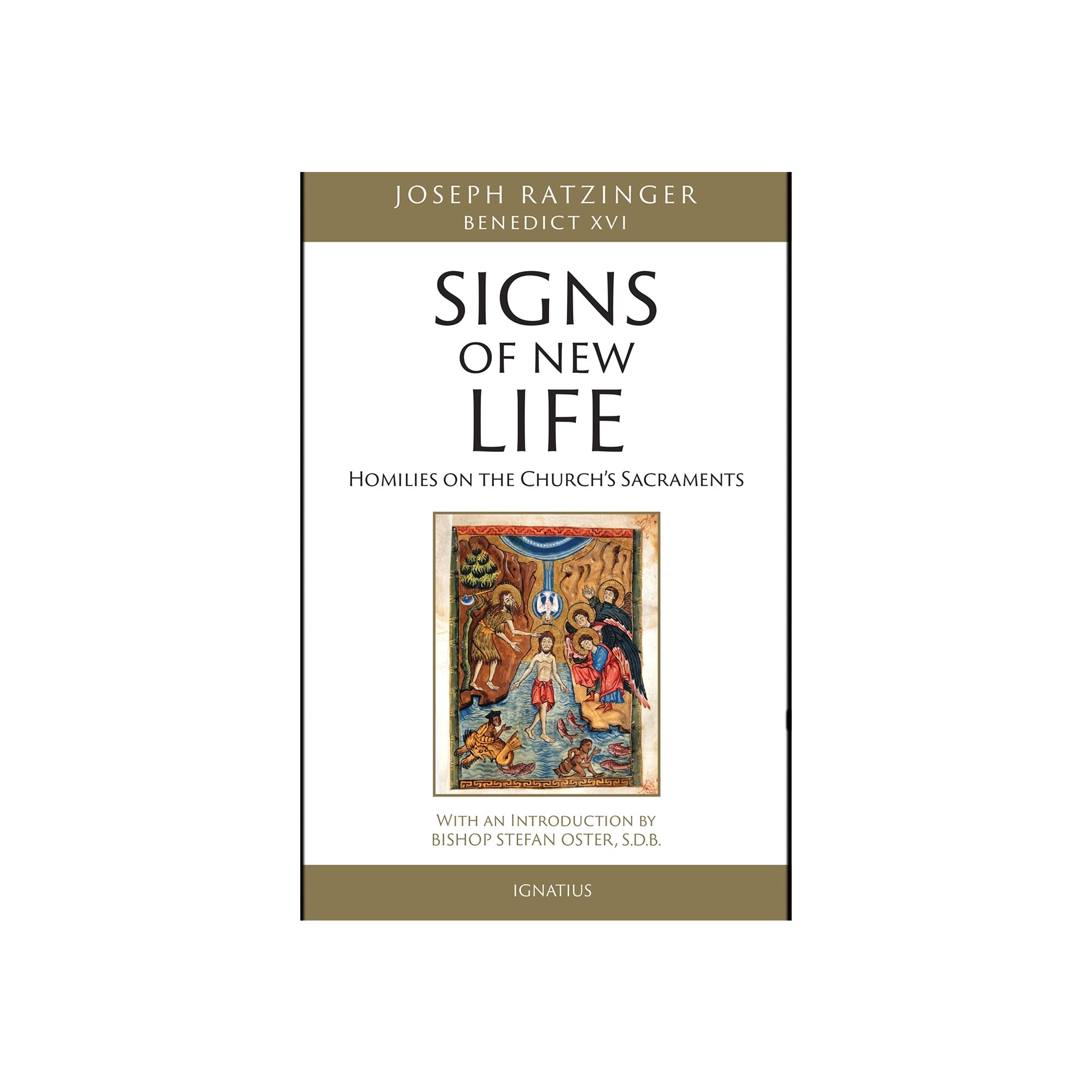 Signs Of New Life: Homilies on the Church's Sacraments