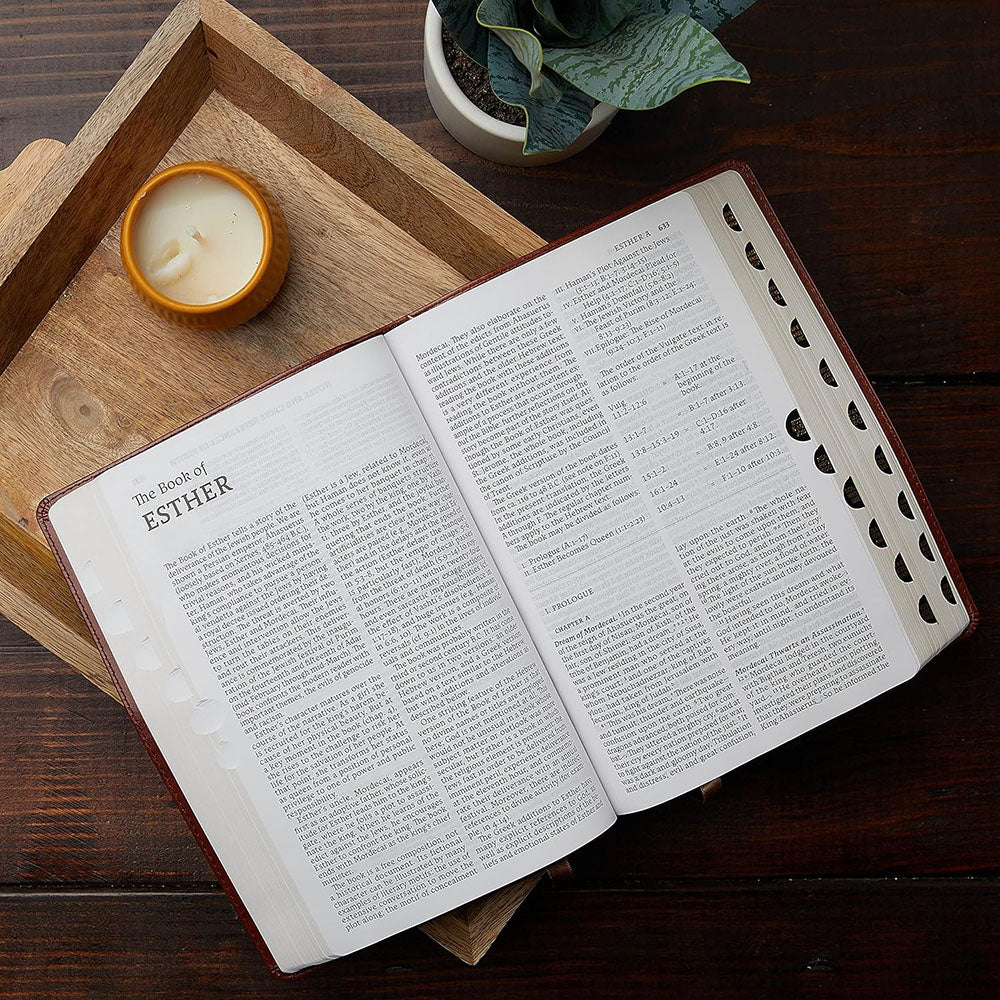 Large Print New American Bible (NABRE) - Black Leathersoft Gift Edition