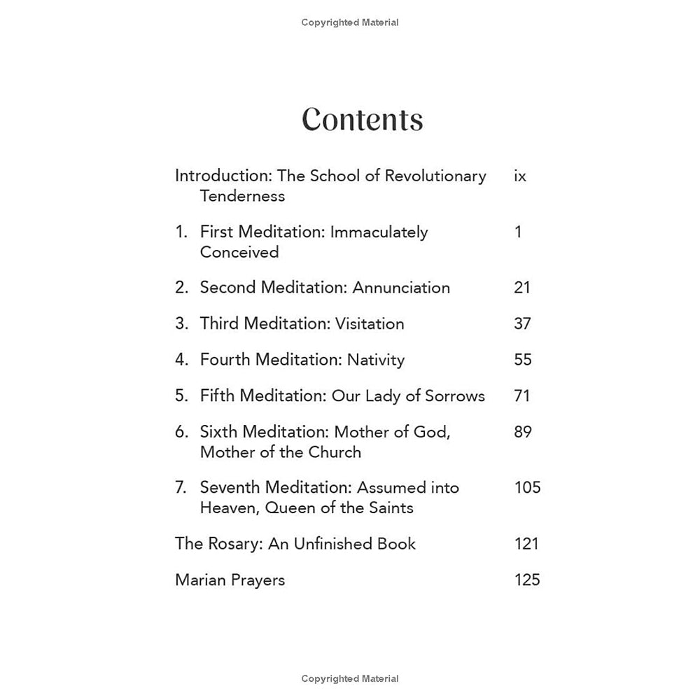 A Fierce and Tender Love: 7 Meditations on Mary, Mother of God