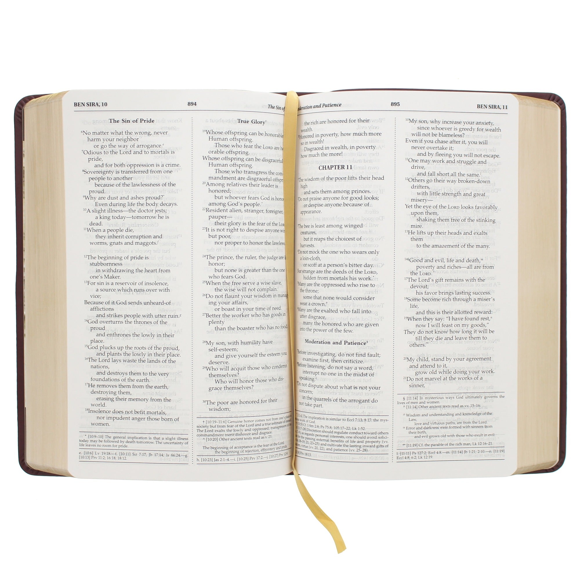 Personalized Pope Francis "Lowly but Chosen" Bible