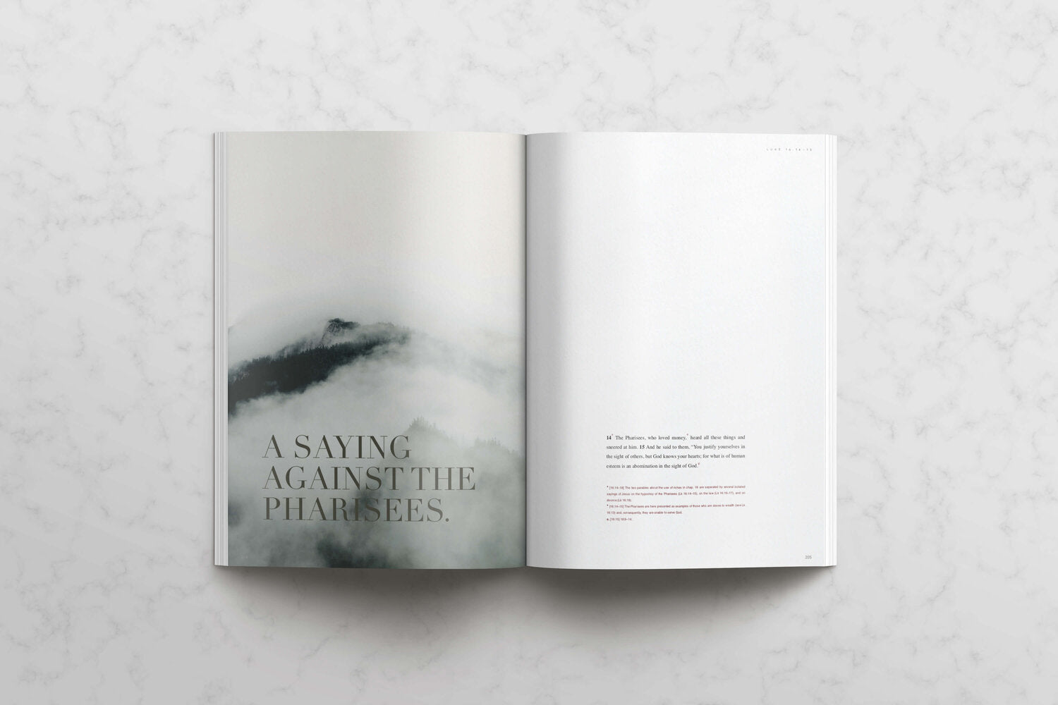 The Gospel of Luke (NABRE) - Contemplative Kindred Bible