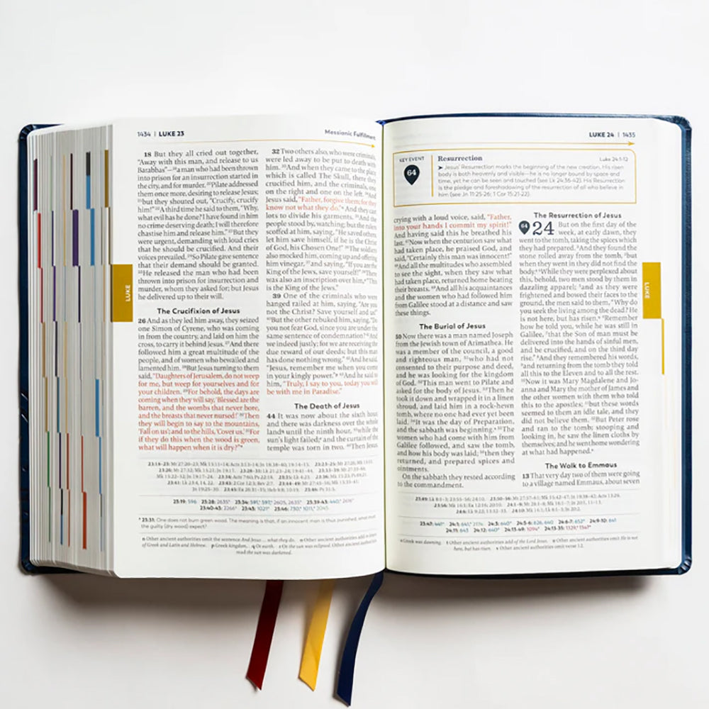 The Great Adventure Bible - Large Print Edition