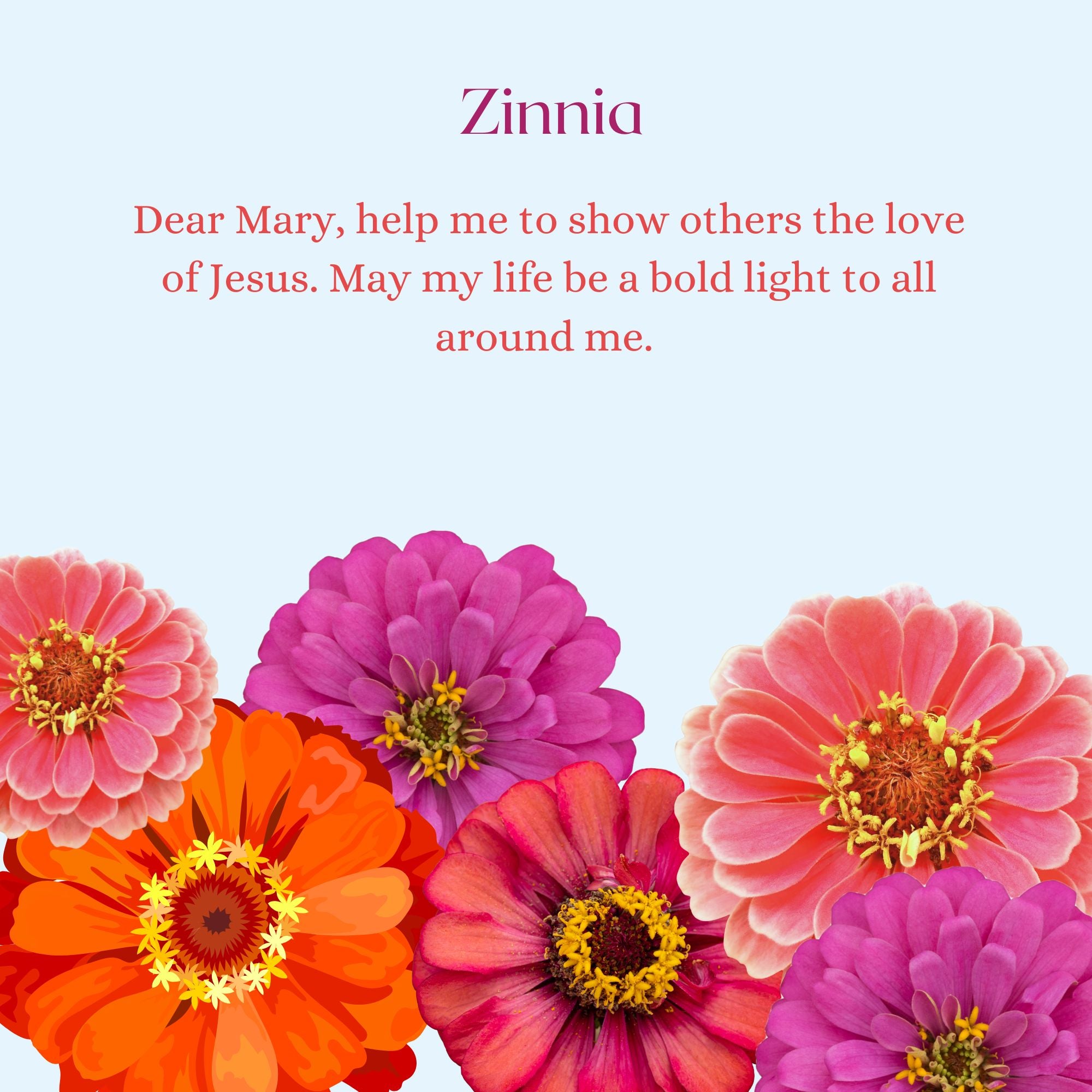 Our Lady's Garden: A Parent-Child Reader