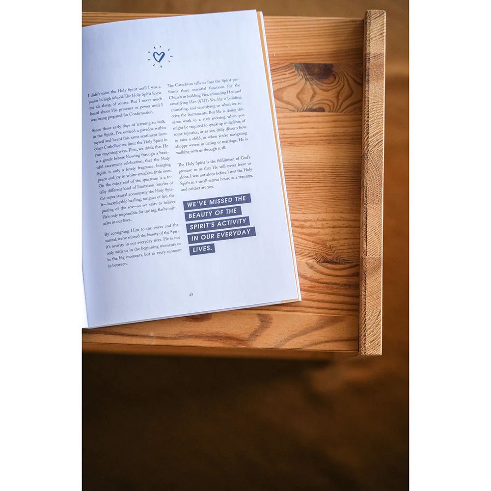 Rooted: A Study on The Catechism (Blessed Conversations Series)