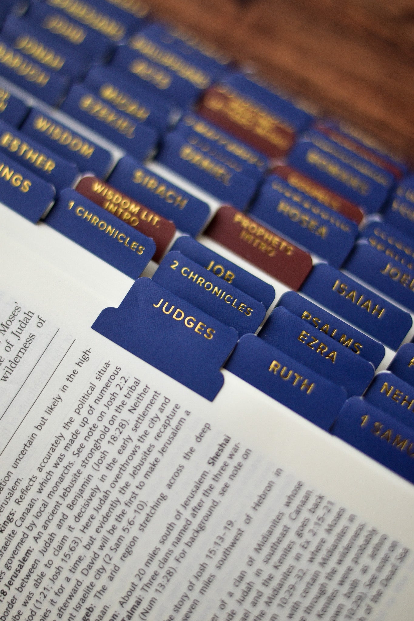 Ignatius Study Catholic Bible Tabs