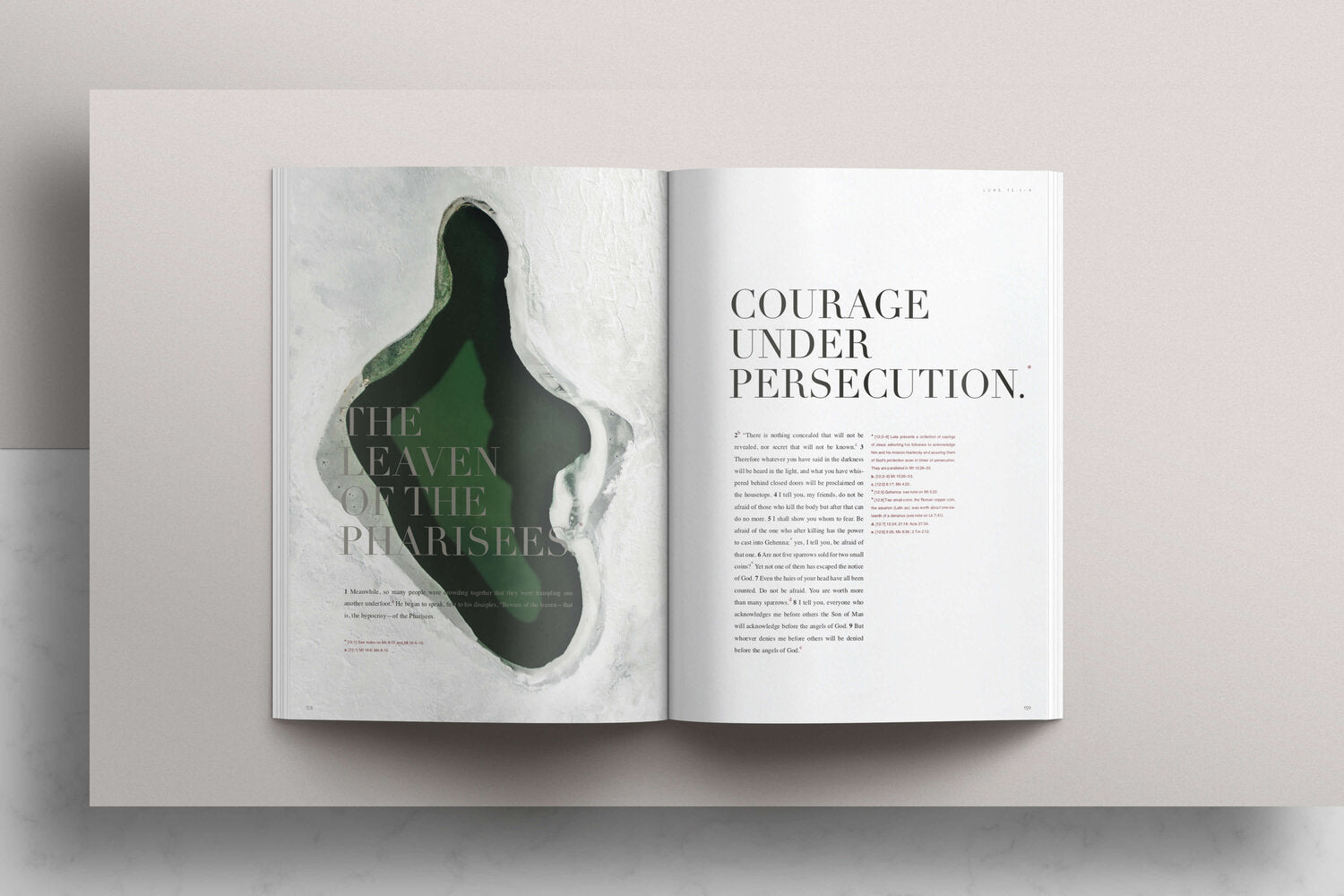 The Gospel of Luke (NABRE) - Contemplative Kindred Bible