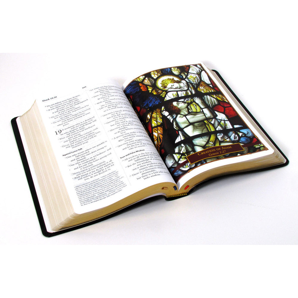 Catholic Scripture Study Bible - RSV Large Print Edition