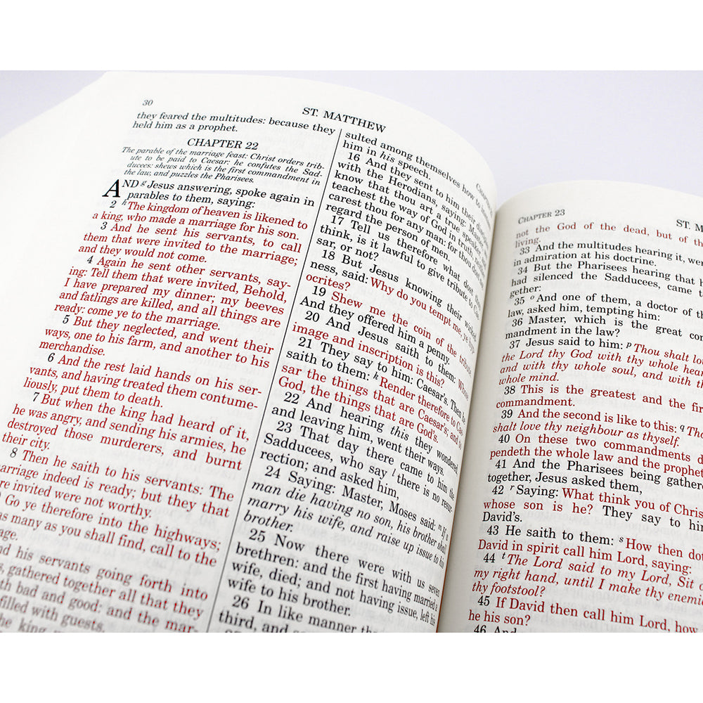 Douay Rheims Bible - Paperback