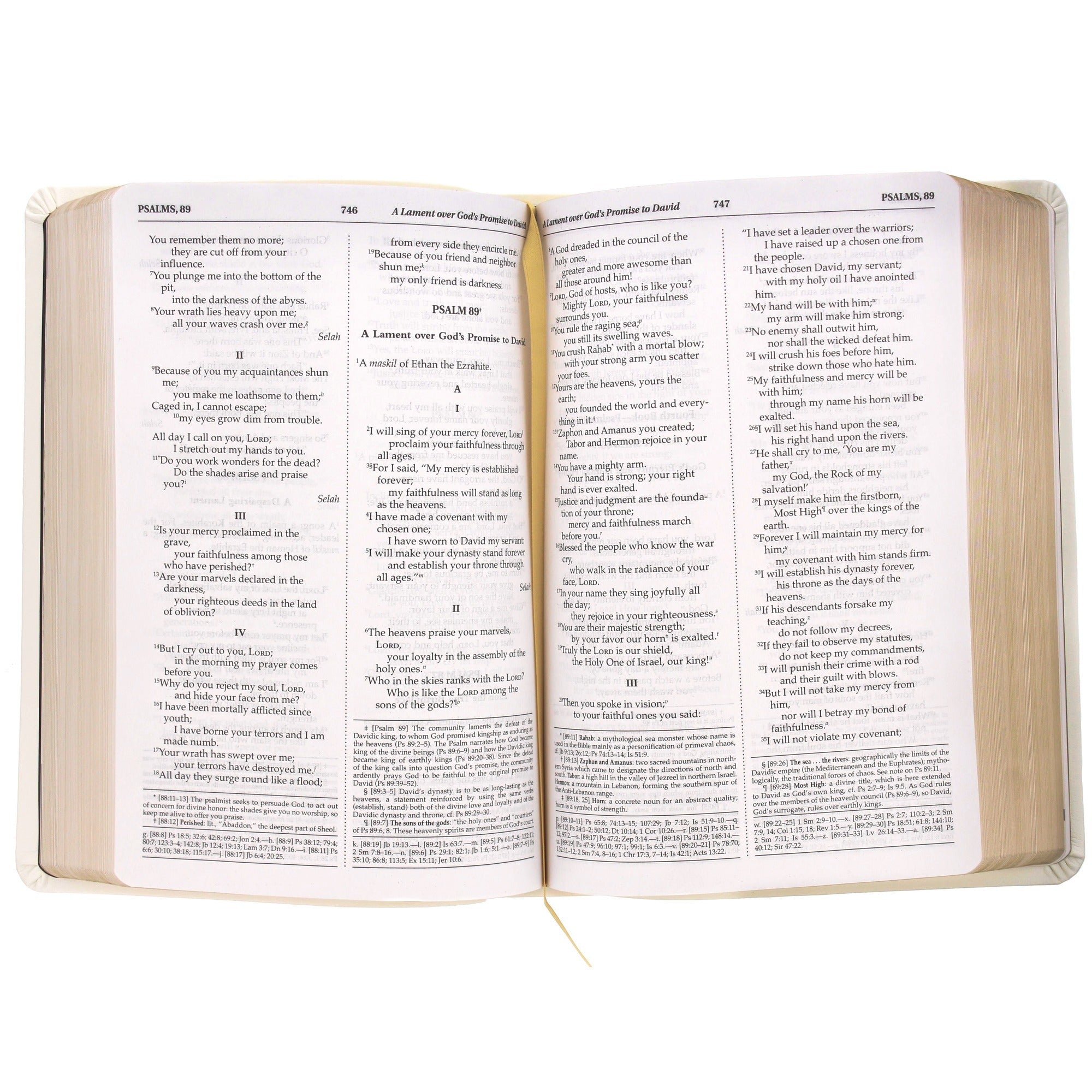 Serenity Prayer Bible