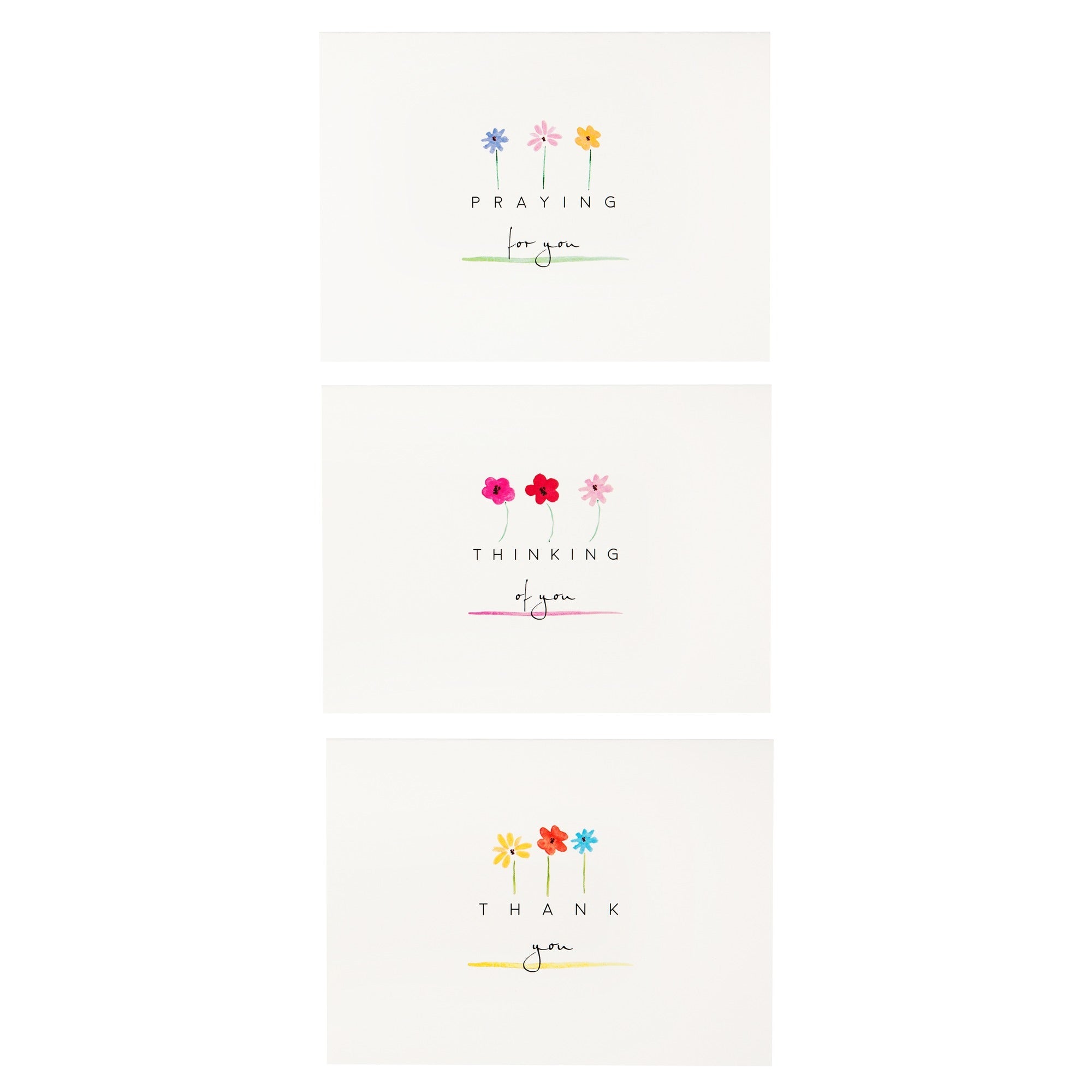 Daisies Collection Note Cards - Set of 12