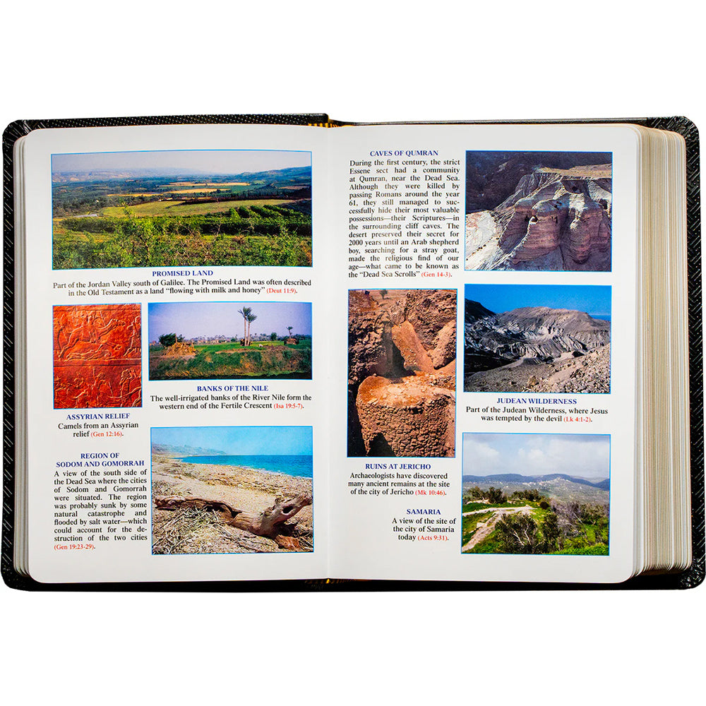 Black Leatherette St. Joseph New Catholic Bible - Compact Edition 4.5 " x6.5"