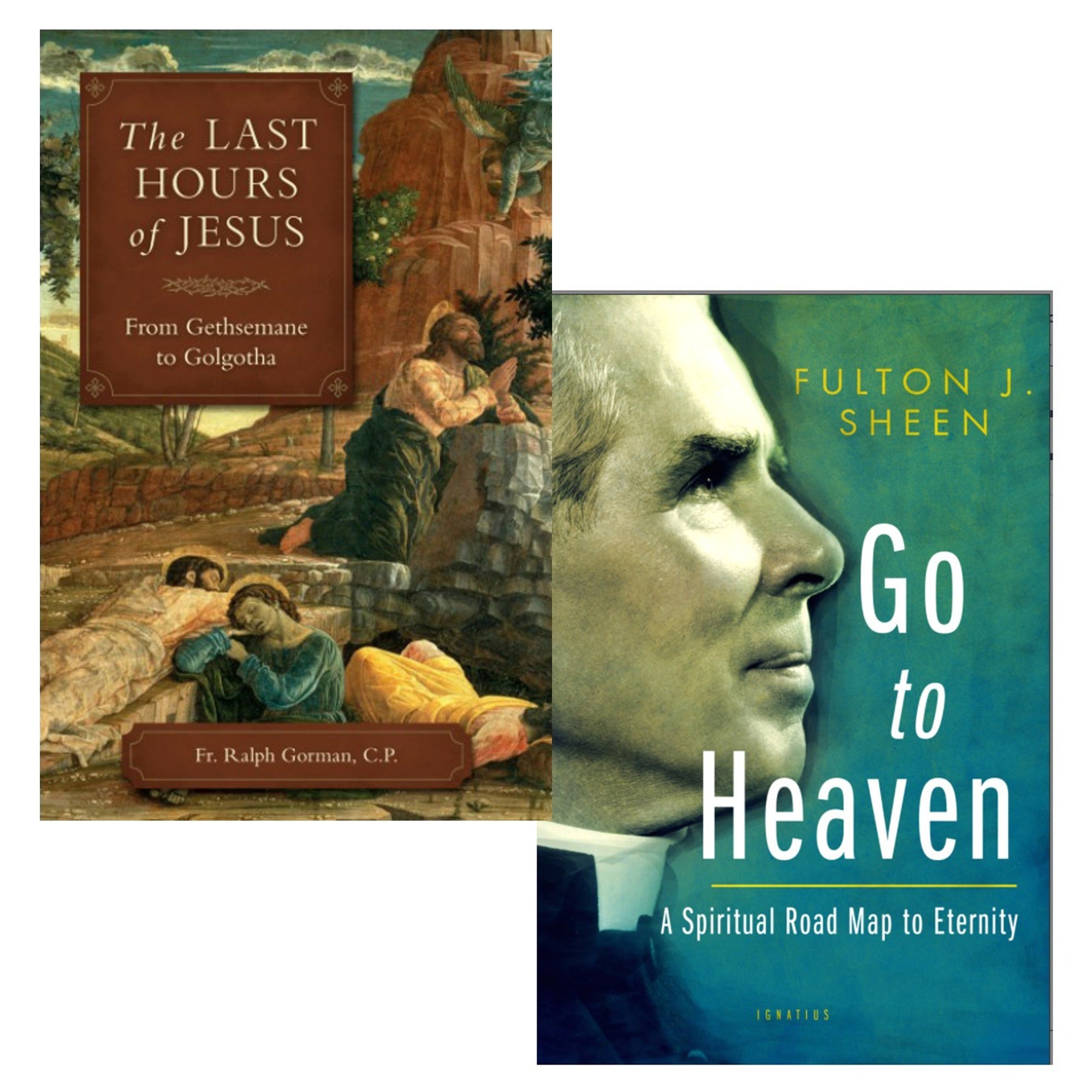 The Last Hours of Jesus & Go to Heaven (2 Book Set)