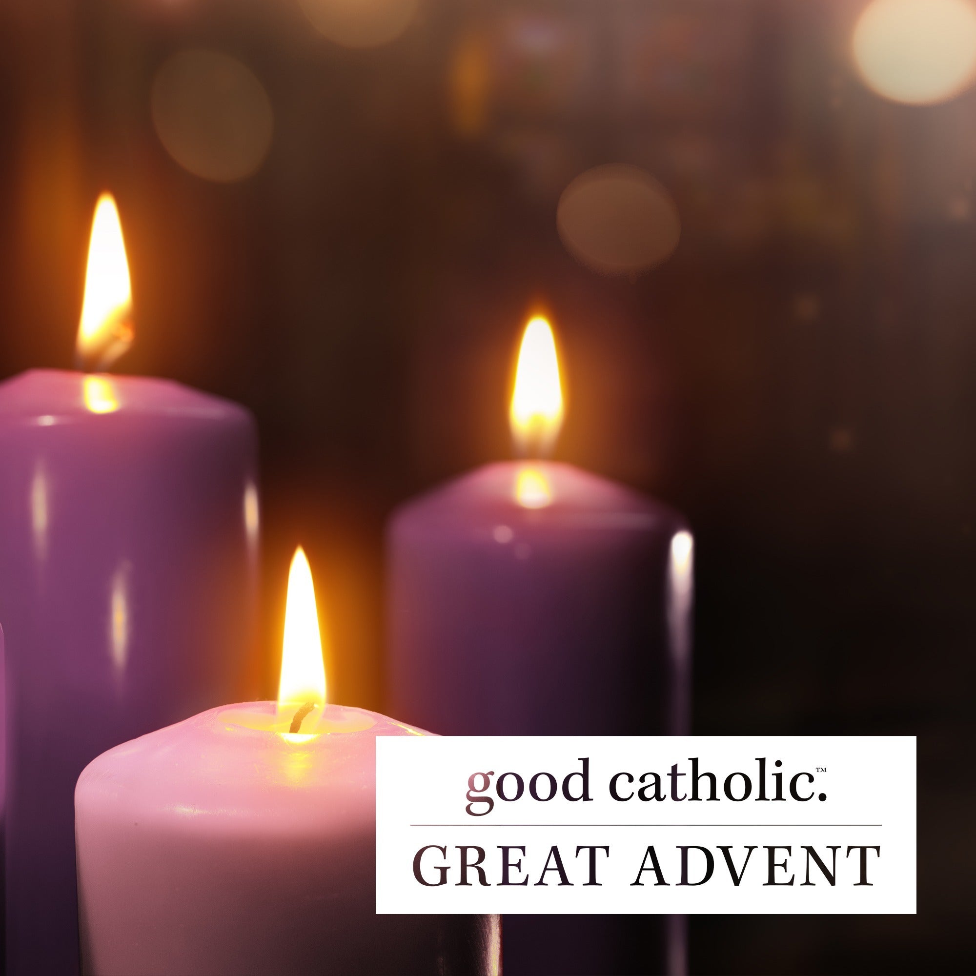 Great Advent - Good Catholic Digital Content Series