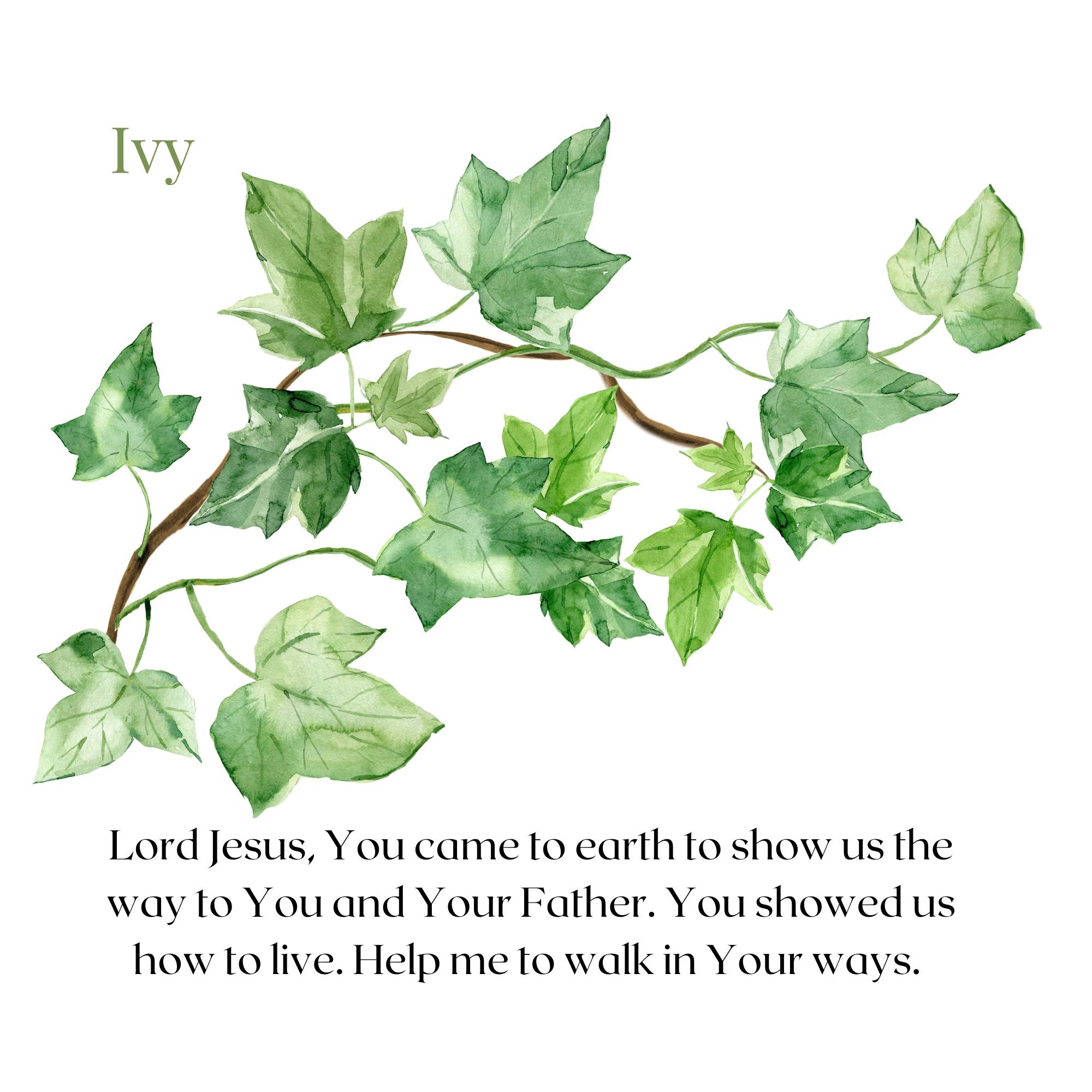 A Garden for Jesus (Parent-Child Reader)
