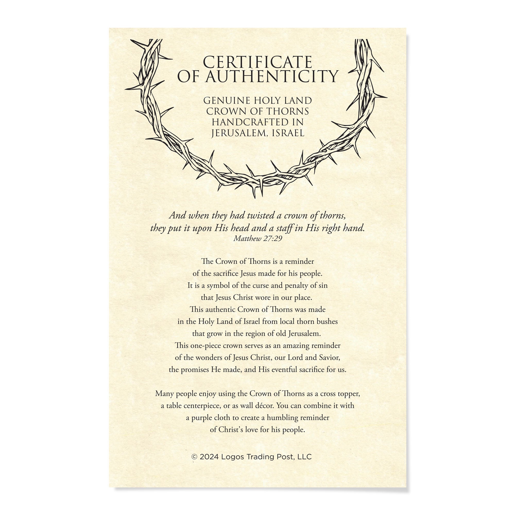 13" Crown of Thorns with Purple Cloth