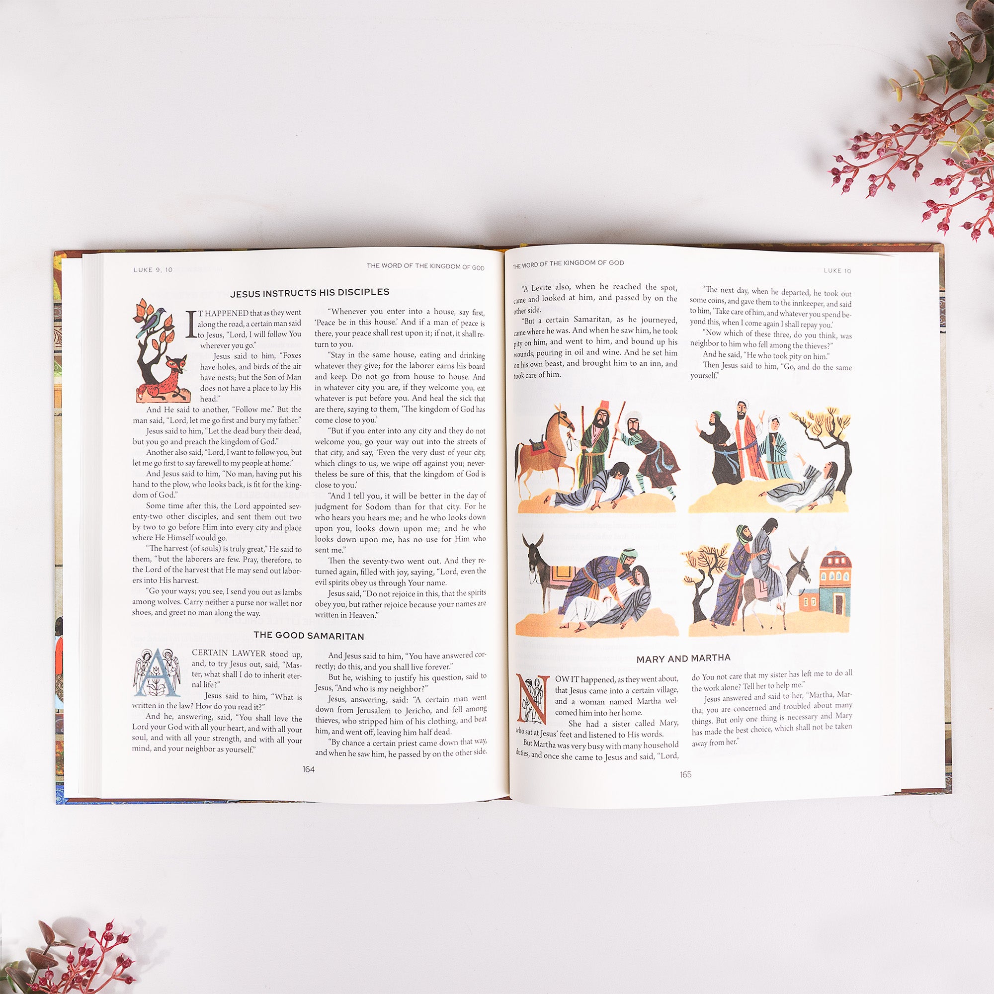 The Holy Bible Adapted for Young Readers (Catholic Edition)