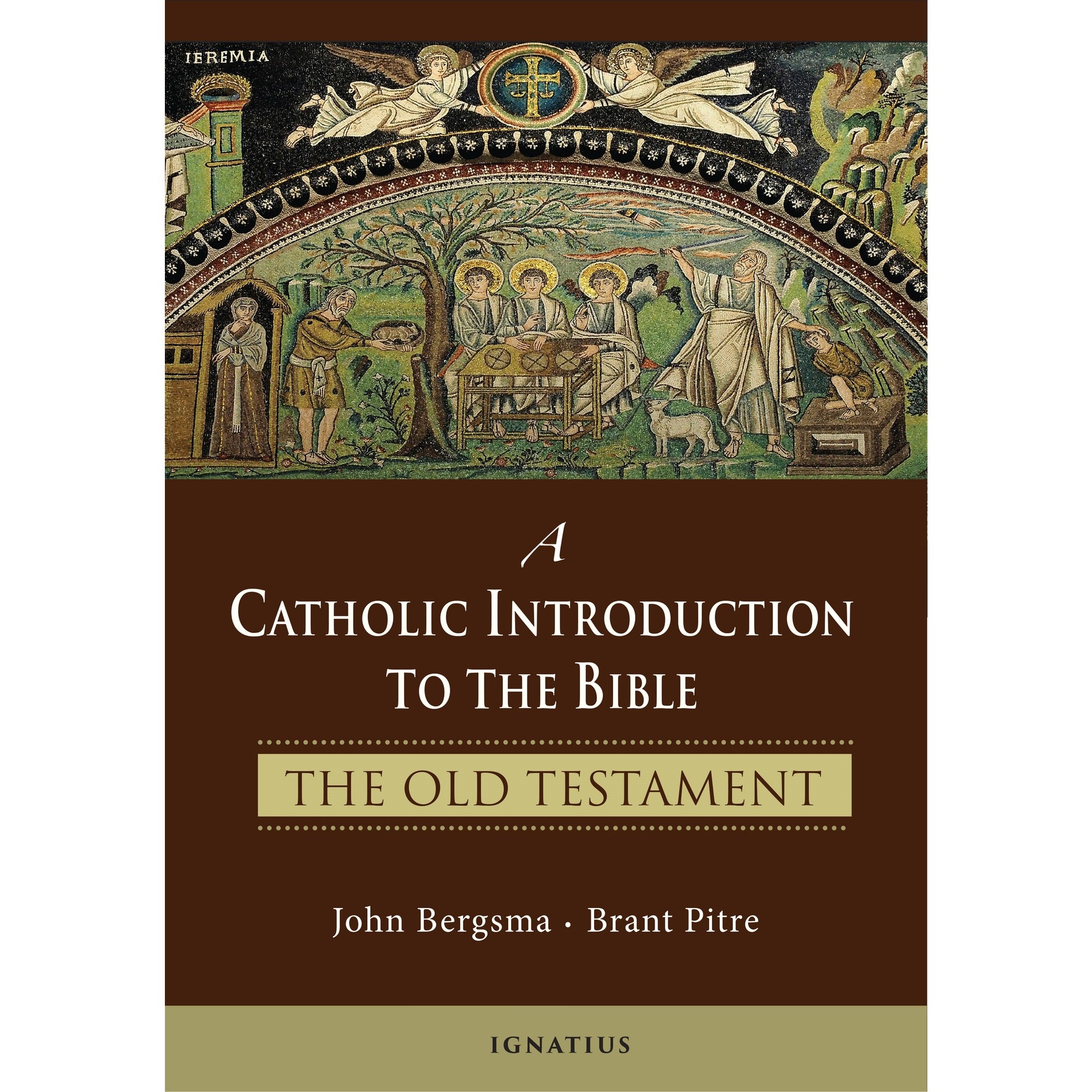 A Catholic Introduction to The Bible - The Old Testament