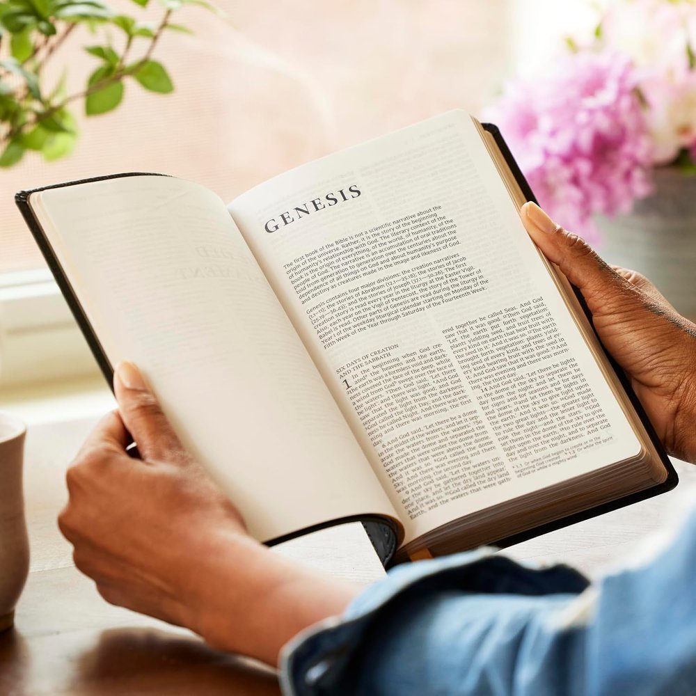 NRSV Catholic Bible - Brown Leathersoft Personal Size
