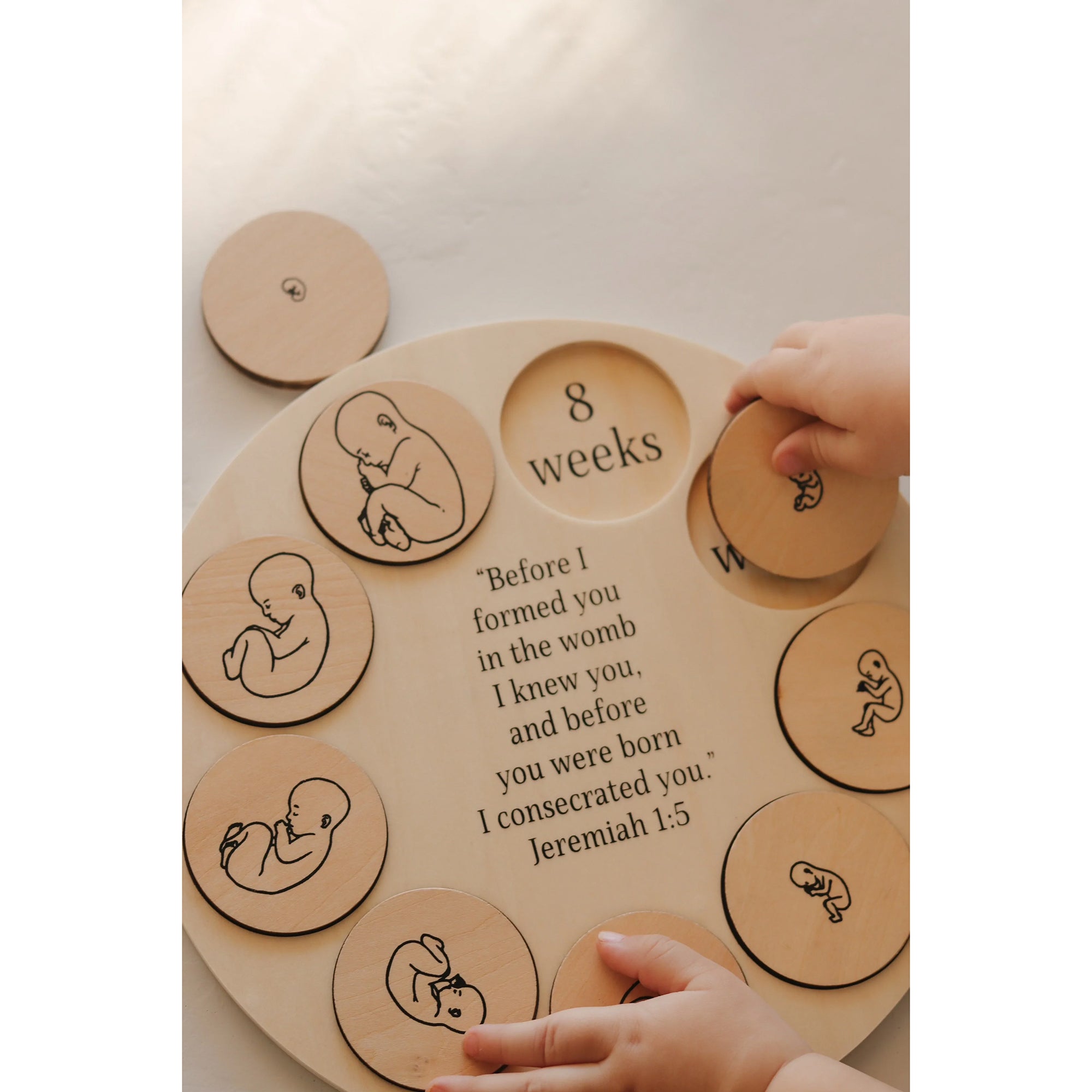 Miracle of Life Wooden Puzzle