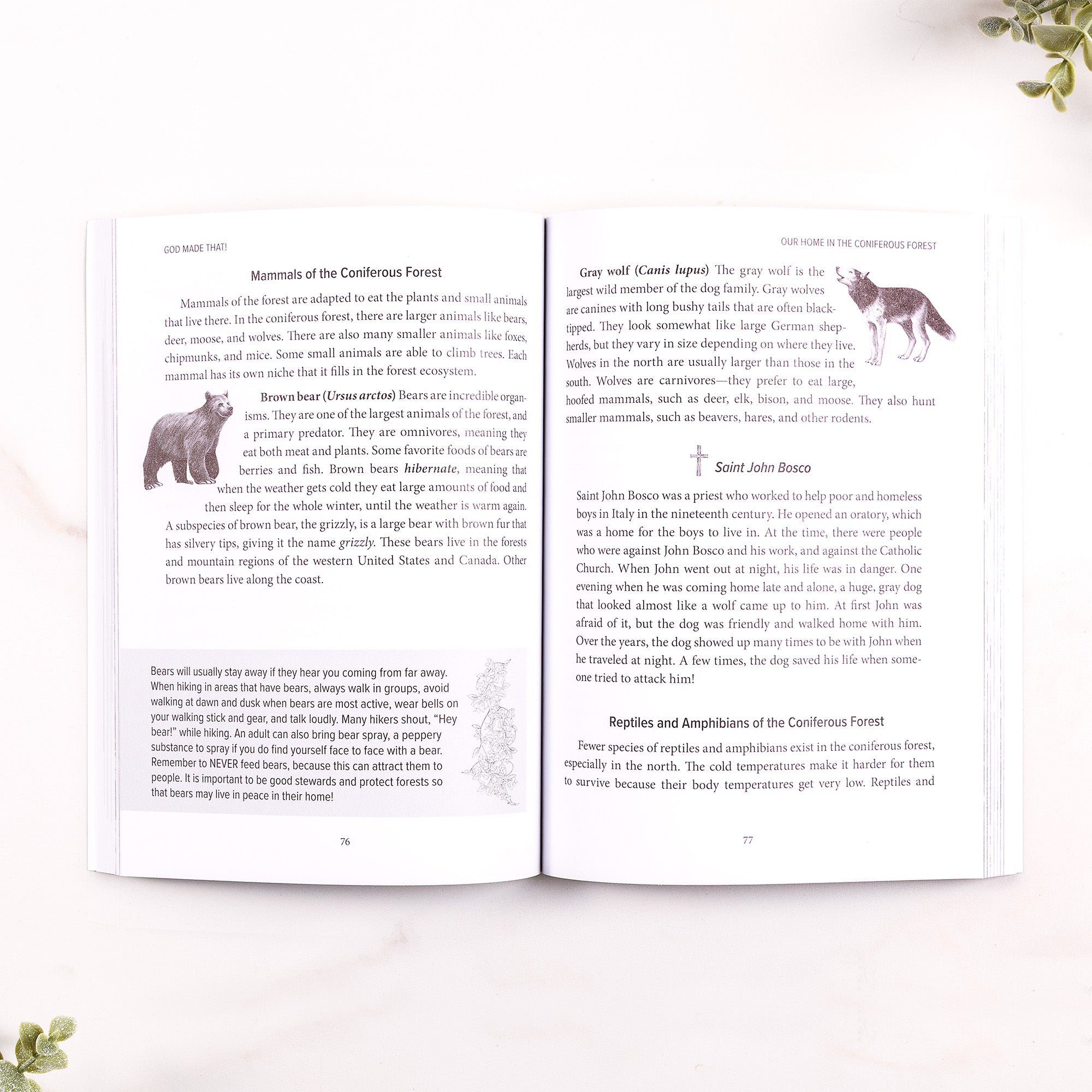 God Made That! Catholic Nature Field Guide