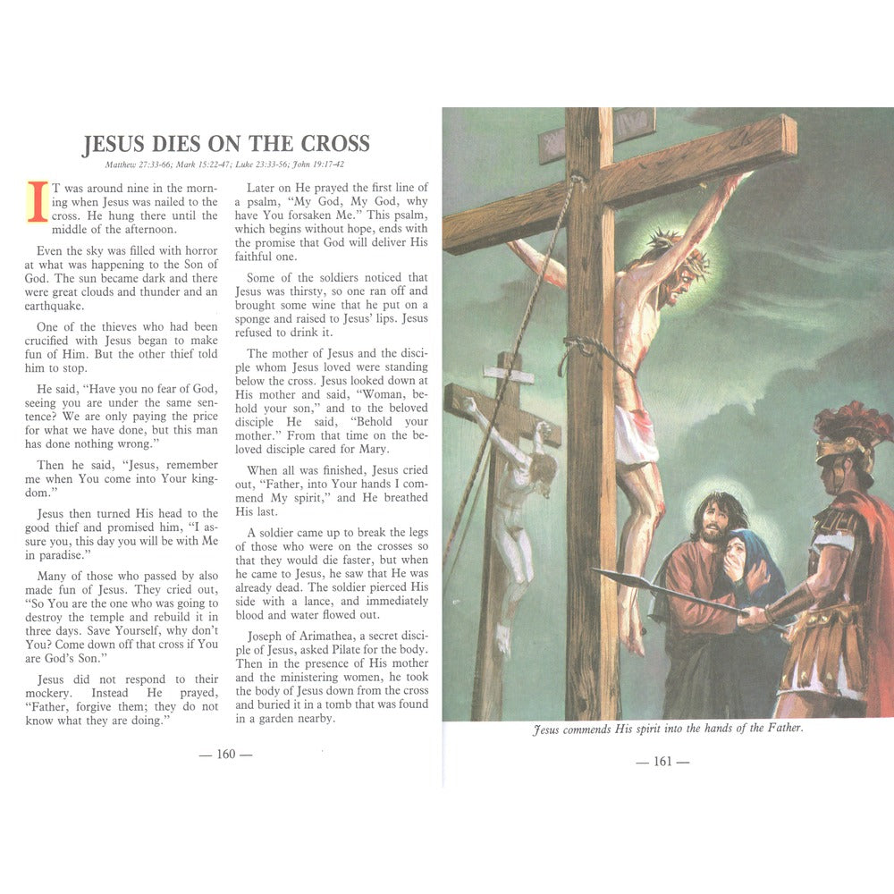 Illustrated Children's Bible