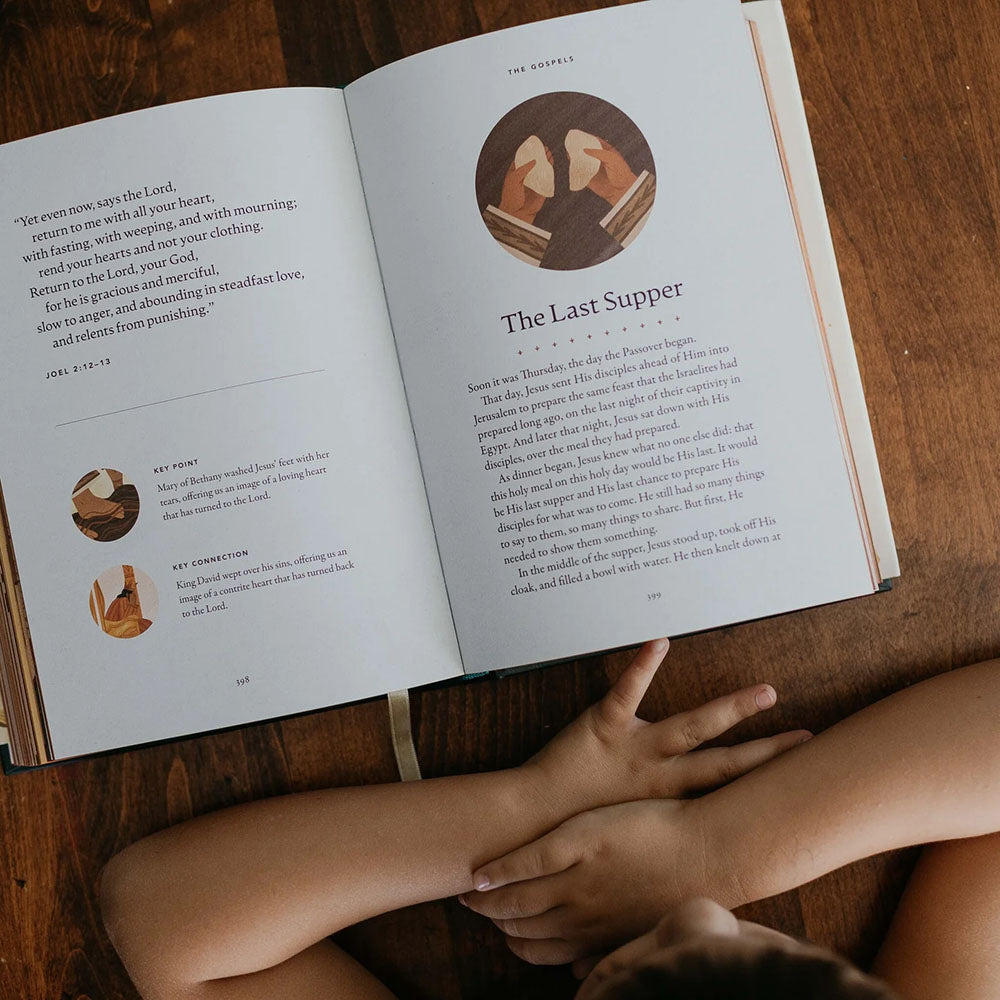 The Story of All Stories: A Story Bible for Young Catholics