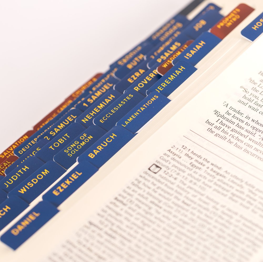 9994281_3.jpg