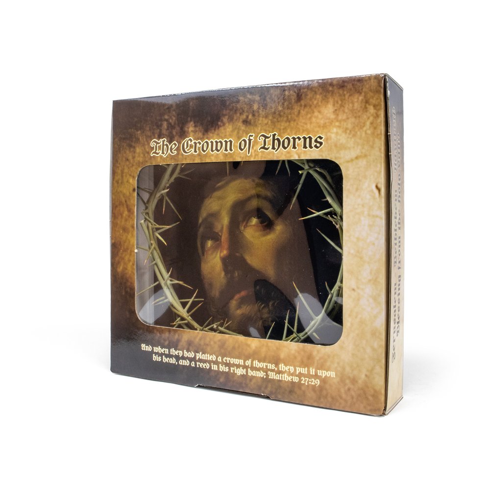 9" Crown of Thorns in Display Box