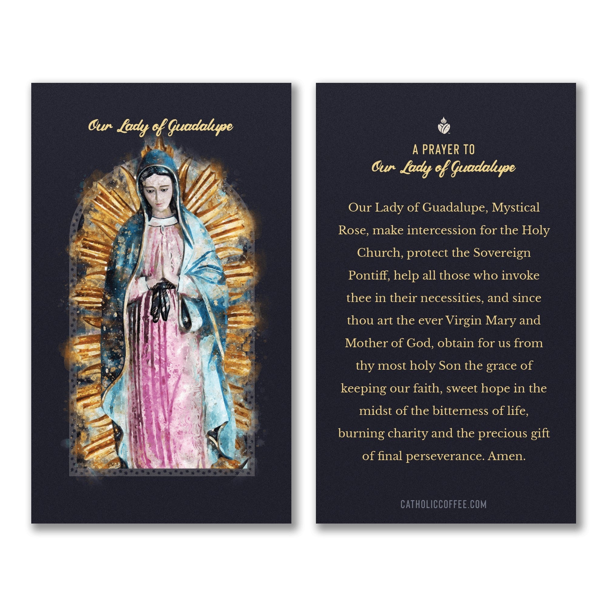 Our Lady of Guadalupe Prayer Card Pack of 3
