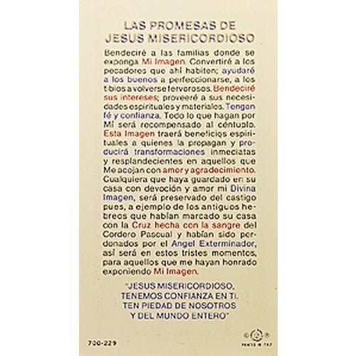 Las Promesas de Jesus Misericordioso (Promises of Divine Mercy ) - Spanish Prayer Card