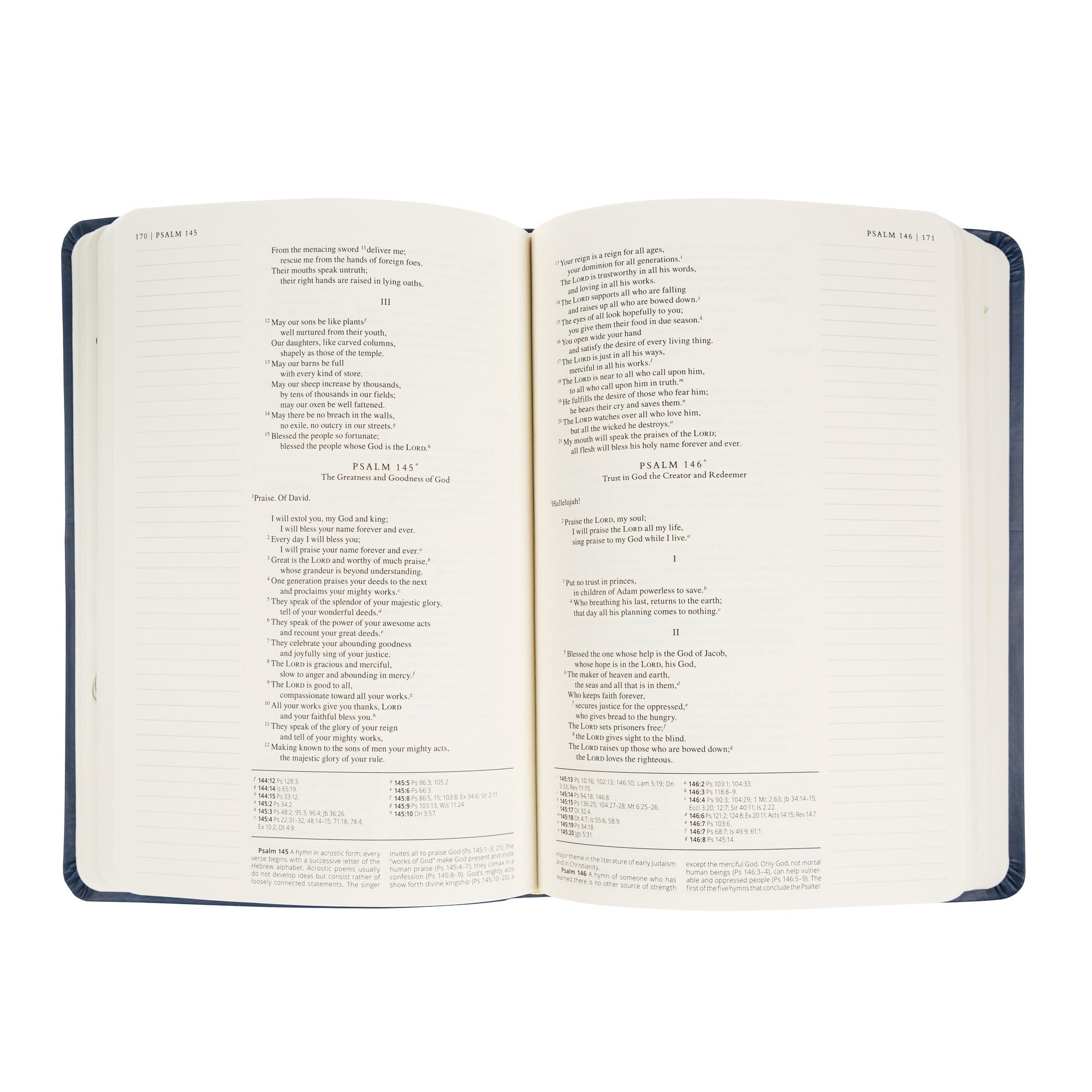 Journaling Through the Gospels & Psalms Bible (NABRE) - Navy