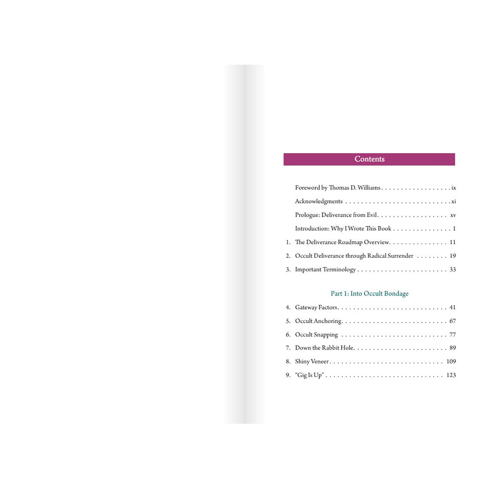 Freedom From Darkness: A Roadmap to Deliverance from Spiritual Bondage and the Occult