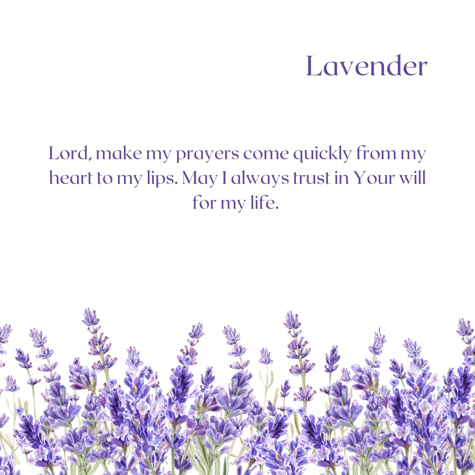 A Garden for Jesus (Parent-Child Reader)