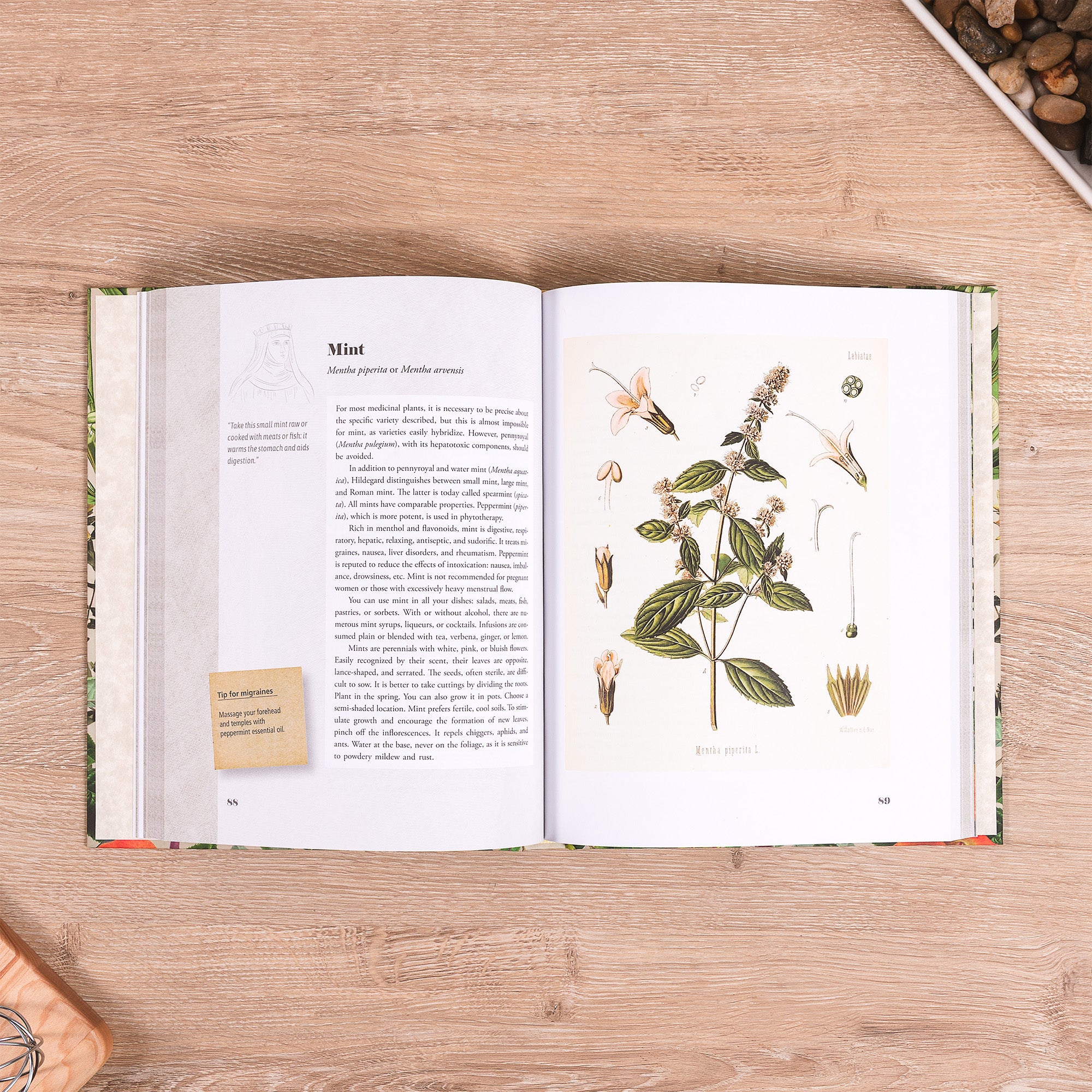 St. Hildegard's Garden: Recipes and Remedies for Healing Body and Soul