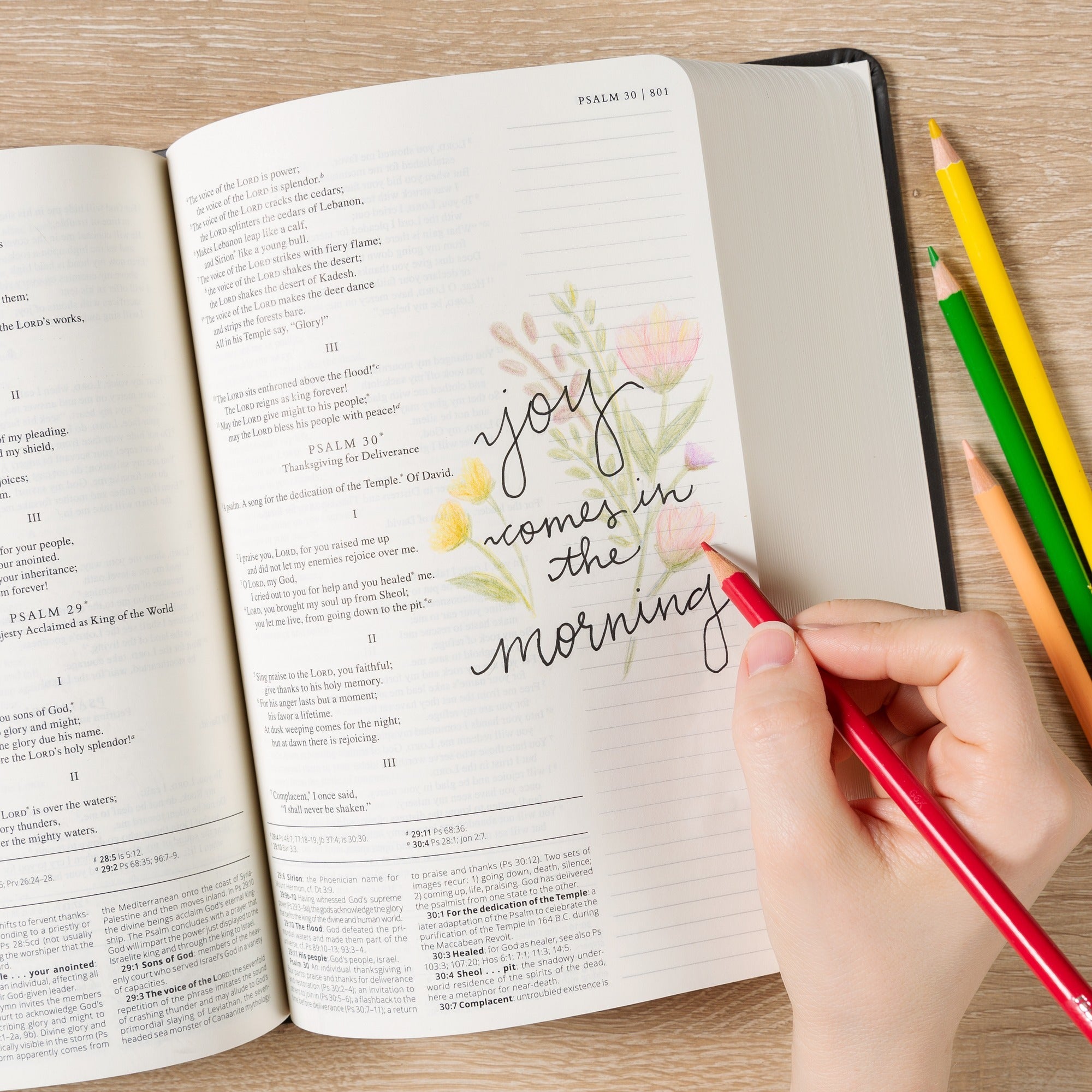 Catholic Notetaking/Journaling Bible (NABRE)