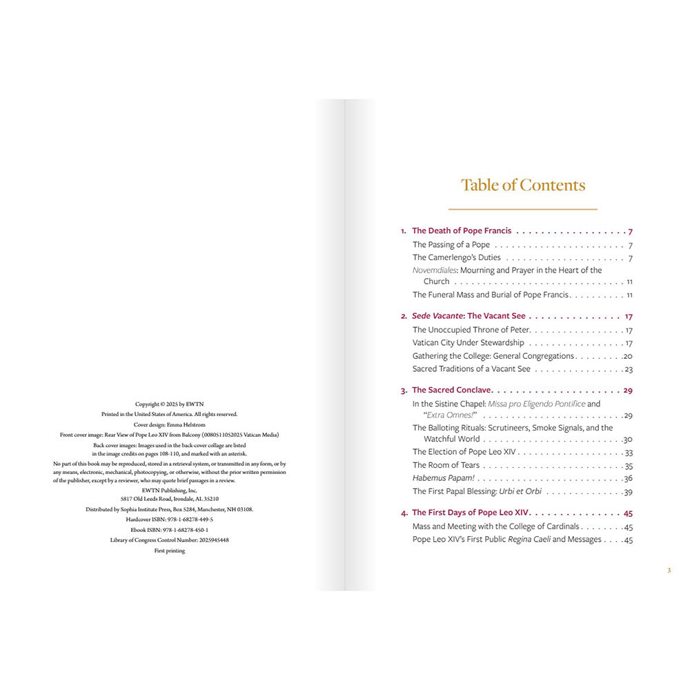 Pope Leo XIV: The Election of a Pope in Pictures