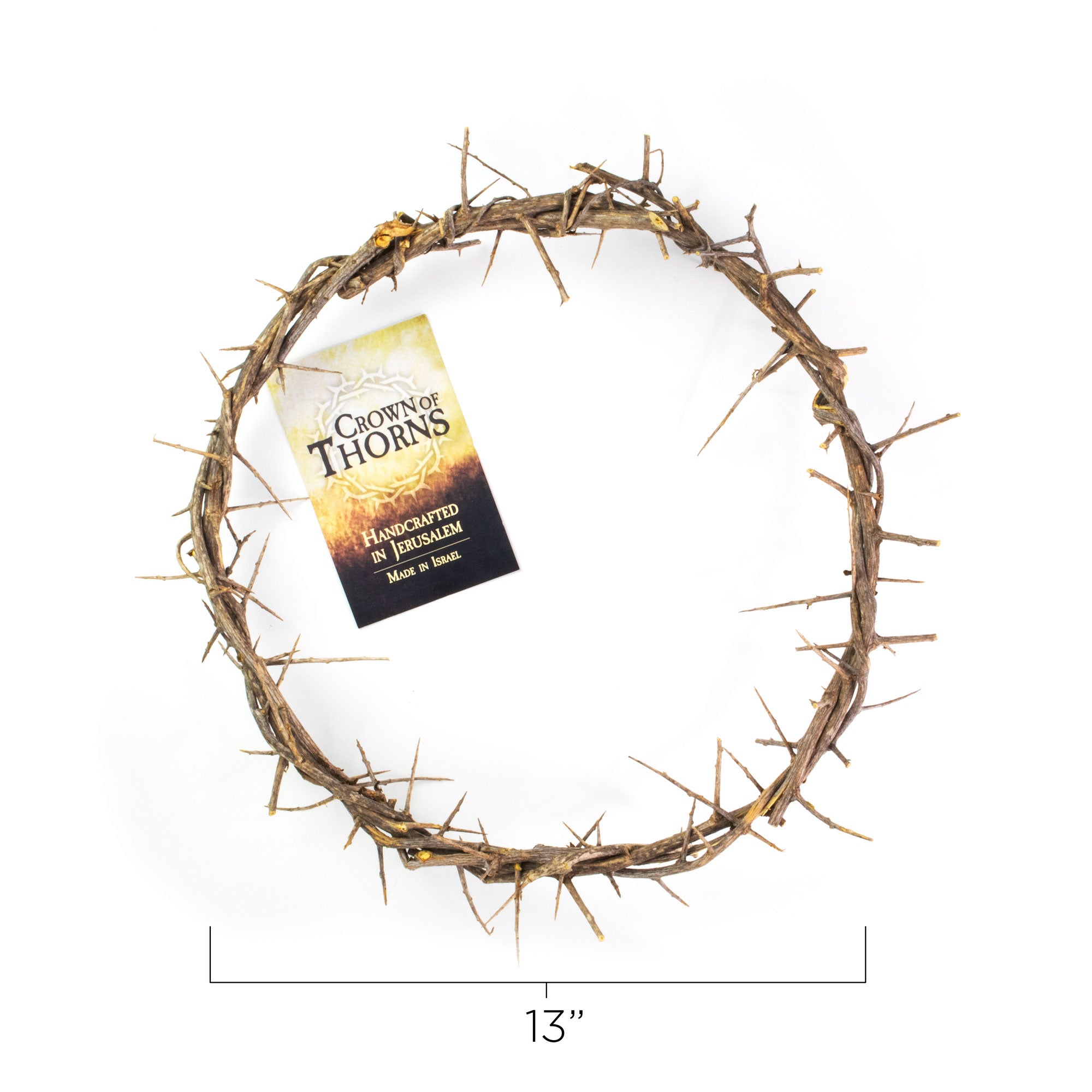 13" Crown of Thorns with Purple Cloth