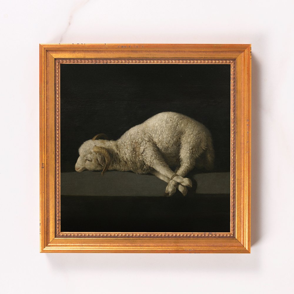 Framed painting depicts a white lamb with bound feet against a dark background in a gold frame.