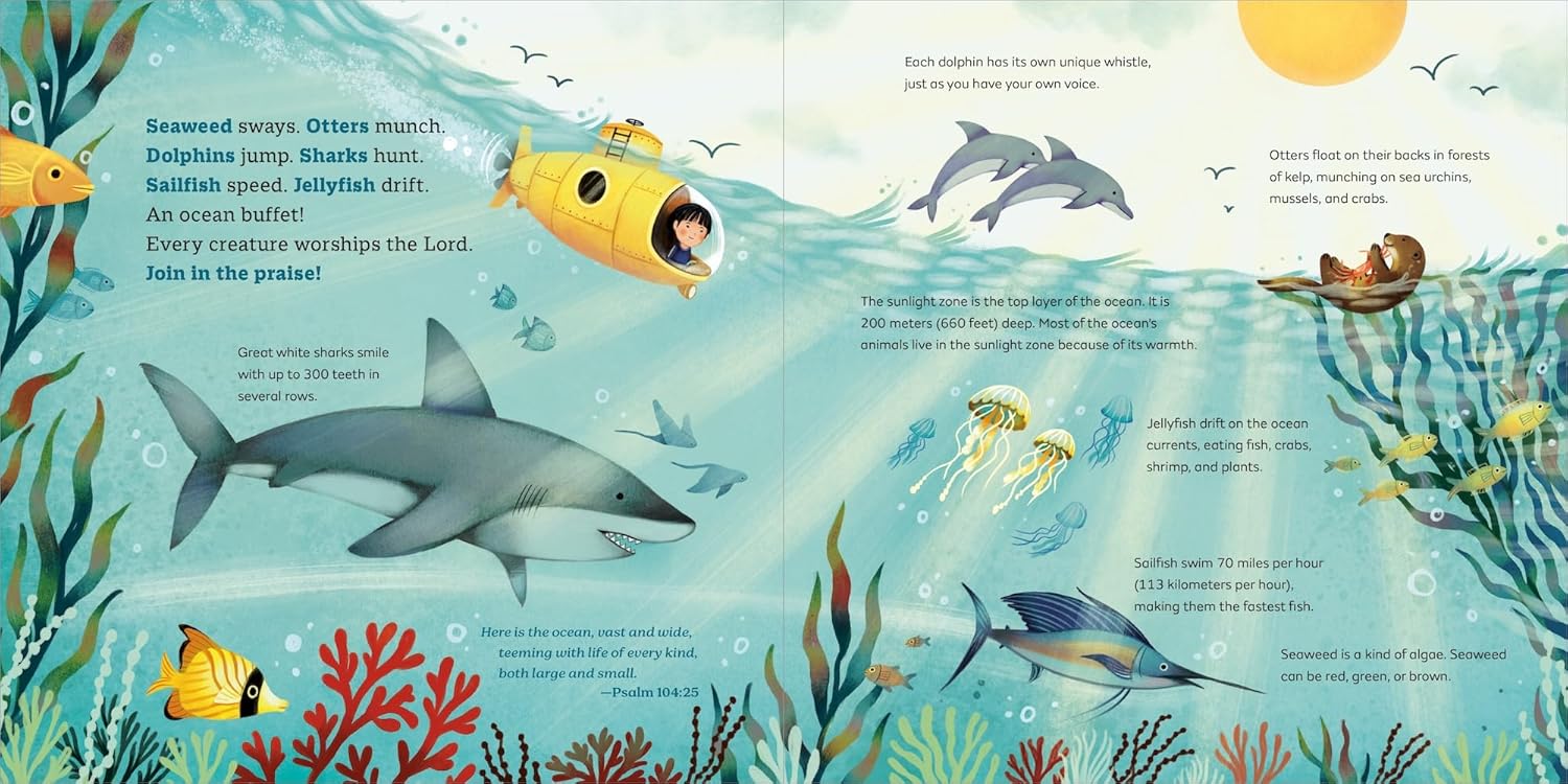 God's Little Oceanographer