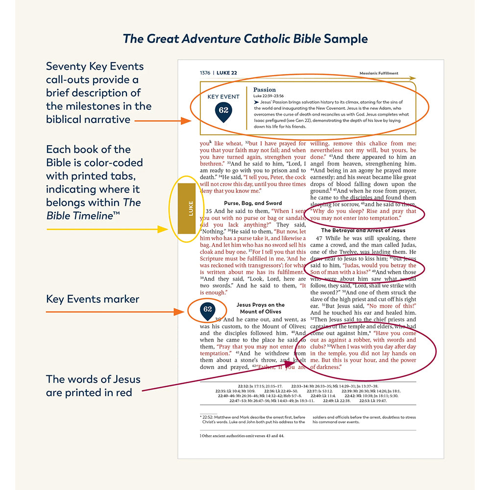 Great Adventure Bible