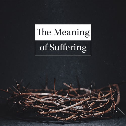 Meaning of Suffering - Good Catholic Digital Content Series