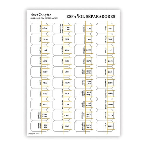 Spanish Catholic Version Bible Tabs