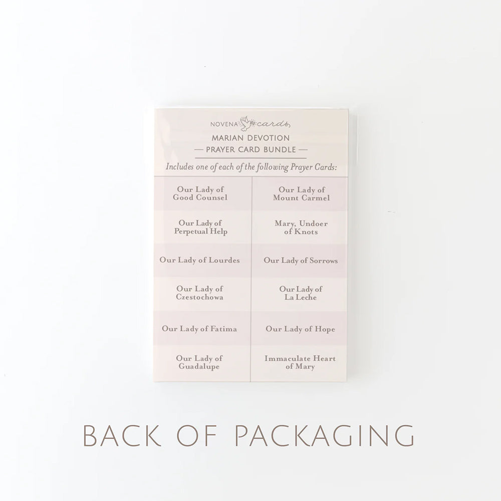 Popular Marian Devotions Prayer Card Bundle (12 Cards)