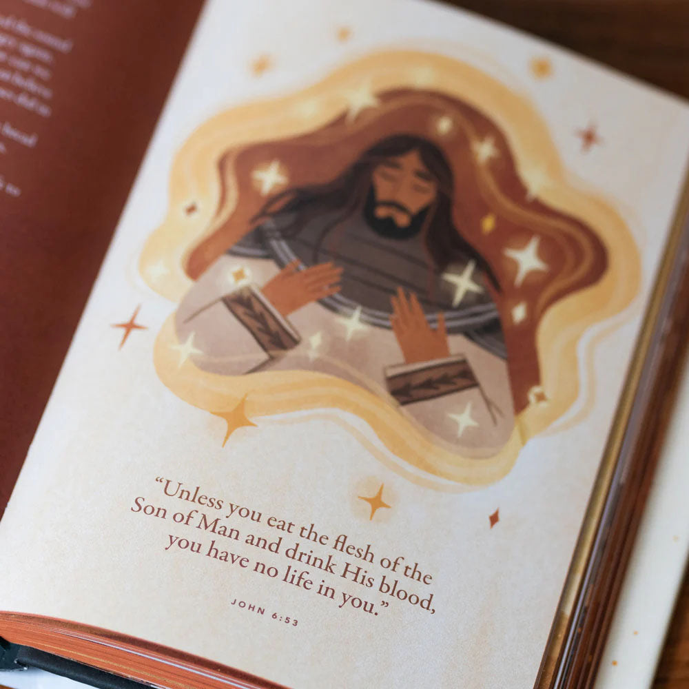 The Story of All Stories: A Story Bible for Young Catholics