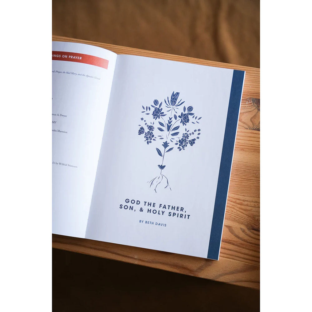 Rooted: A Study on The Catechism (Blessed Conversations Series)