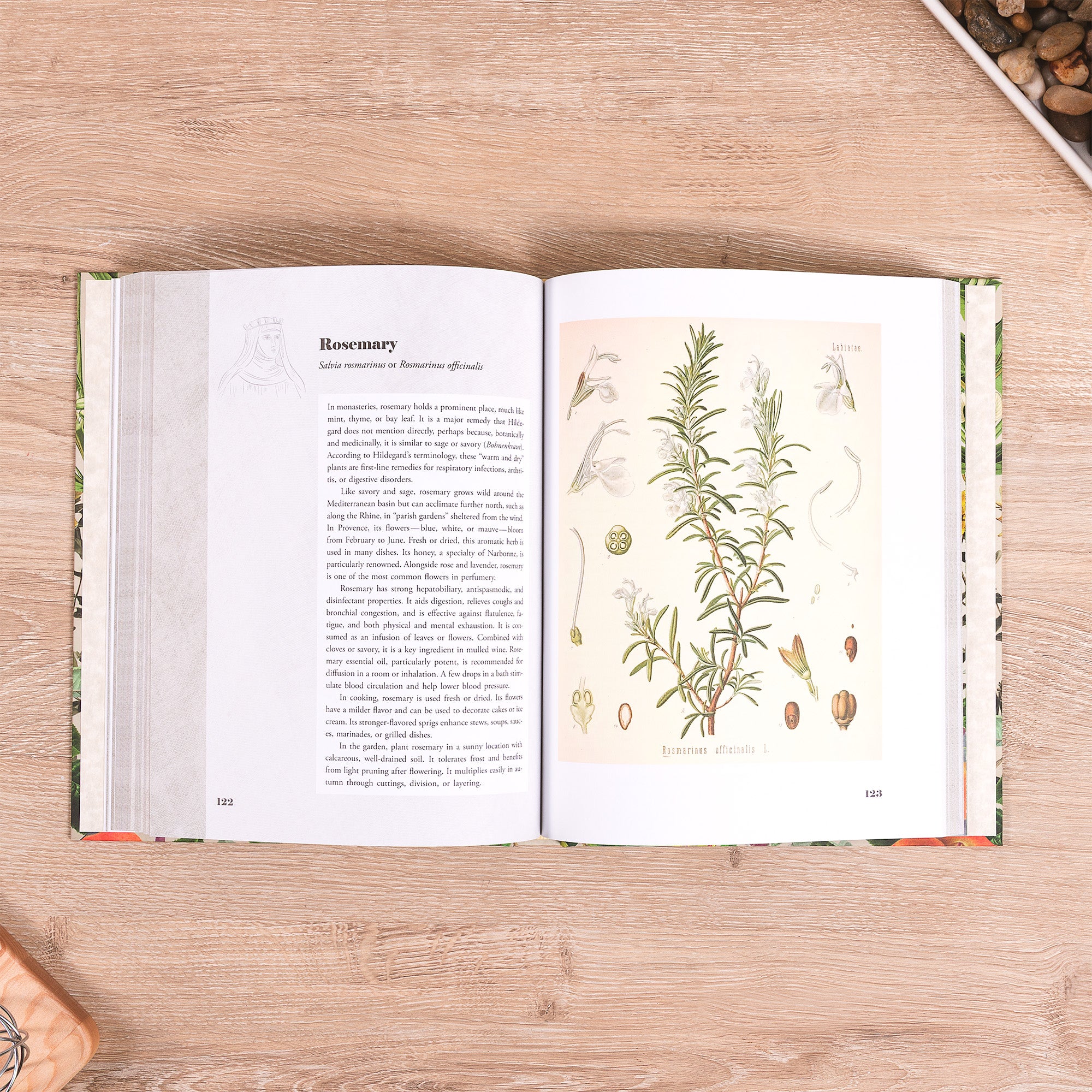 St. Hildegard's Garden: Recipes and Remedies for Healing Body and Soul